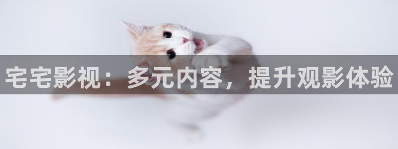 yy6090青苹果私人影院：宅宅影视：多元内容，提升观影体验