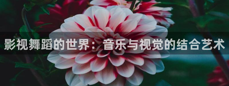 yy6090影院：影视舞蹈的世界：音乐与视觉的结合艺术